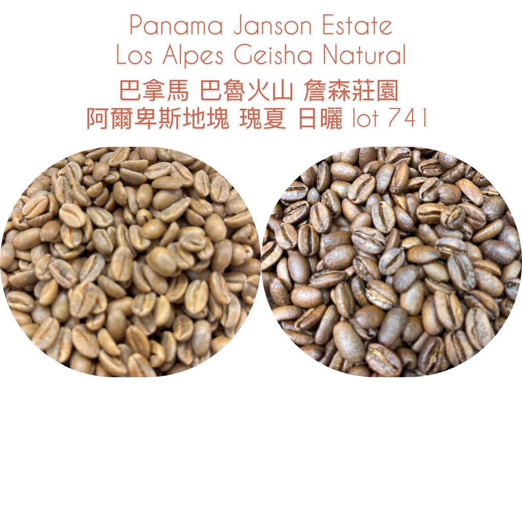 WhatsApp Image 2026-03-08 at 18.08.00