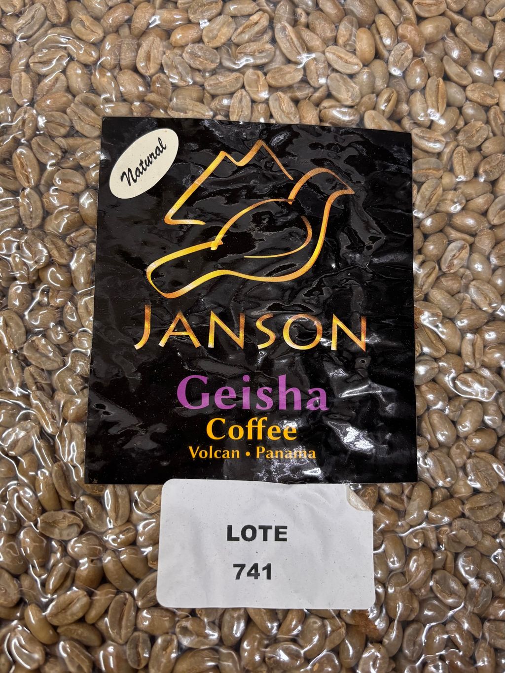 image_08853837-B2F3-4A6E-9D39-B6952DAA60C7_1772984327