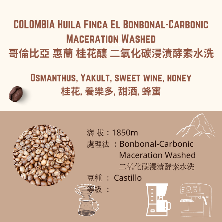 CS 桂花