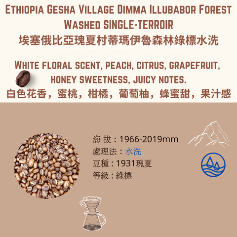 EY 綠標 (1)