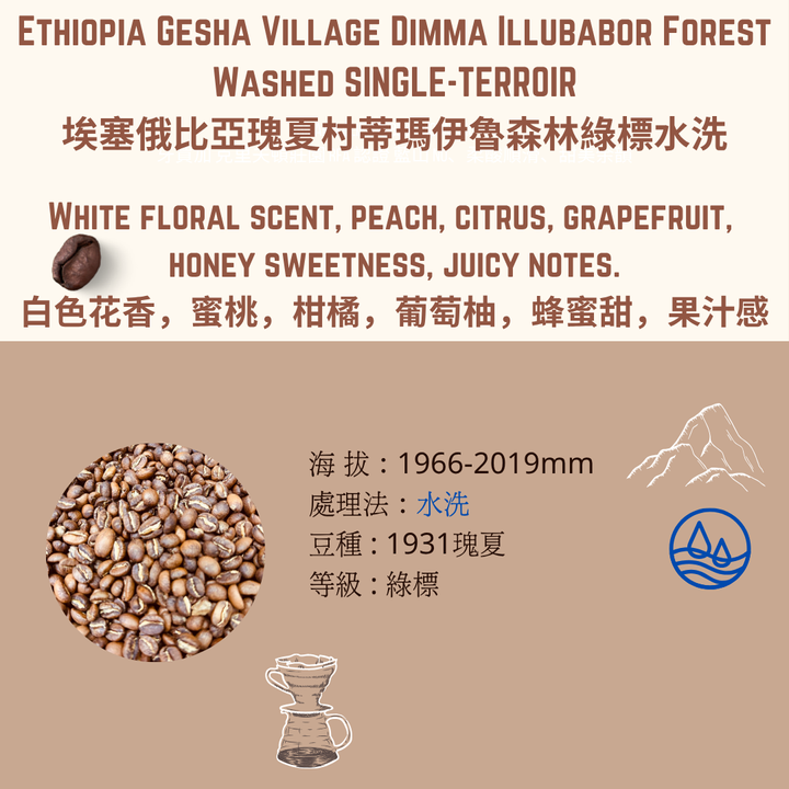 EY 綠標 (1)
