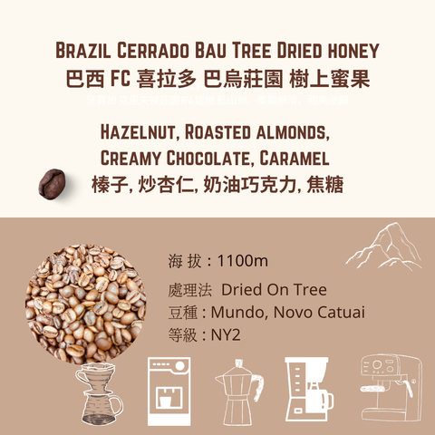 brasil  巴鳥莊園 (1)