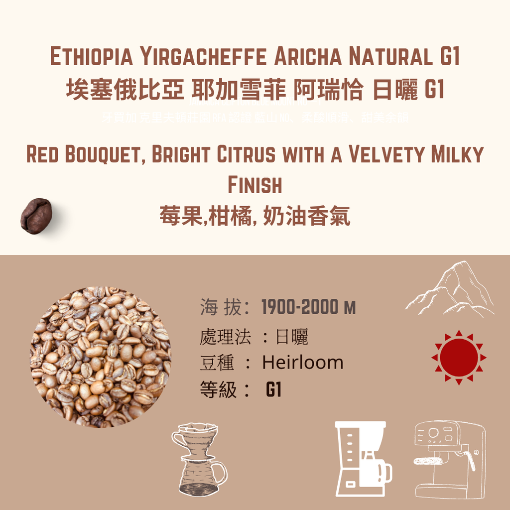 EY 阿瑞恰 阿朵斯