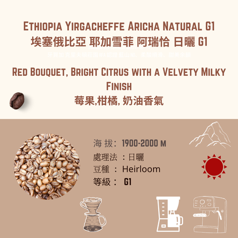 EY 阿瑞恰 阿朵斯