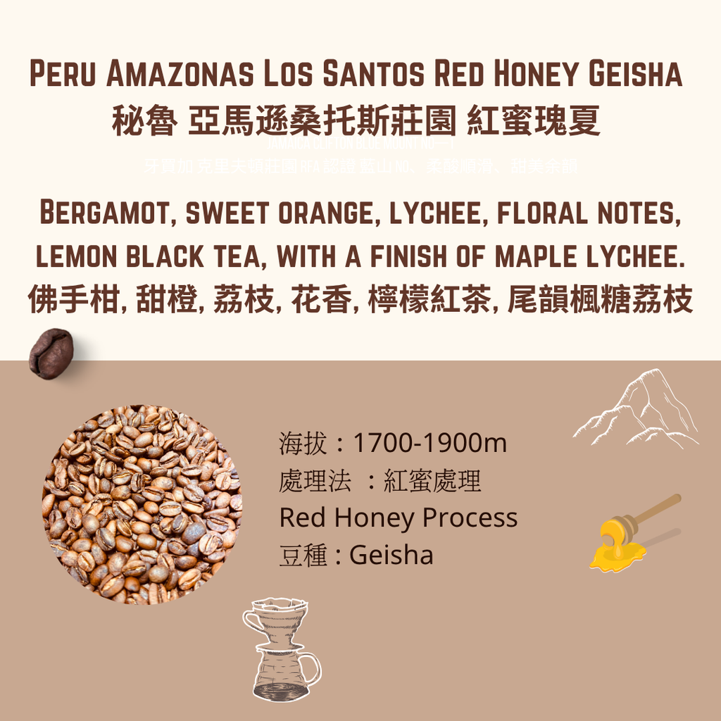 秘魯亞馬遜桑托斯莊紅蜜瑰夏
