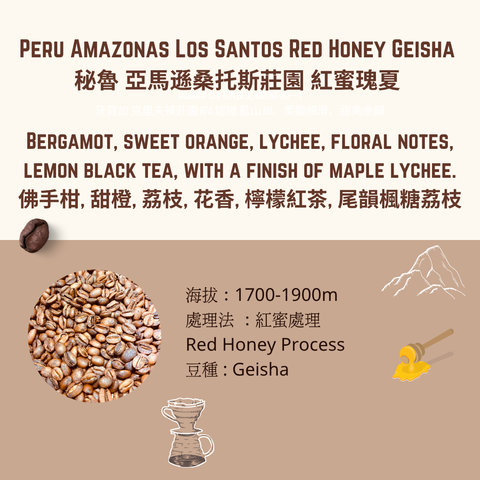 秘魯亞馬遜桑托斯莊紅蜜瑰夏