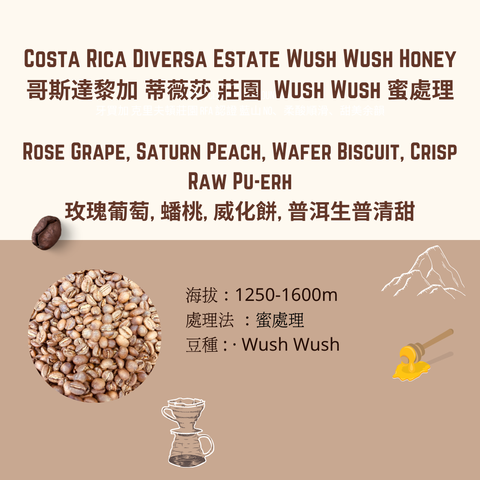 哥斯達黎加 蜜處理 (1)