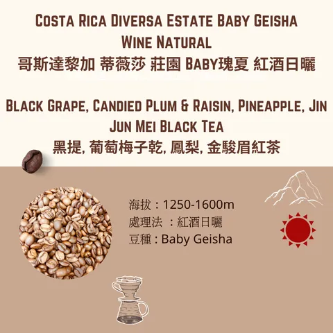 哥斯達黎加 紅酒日曬 (1)