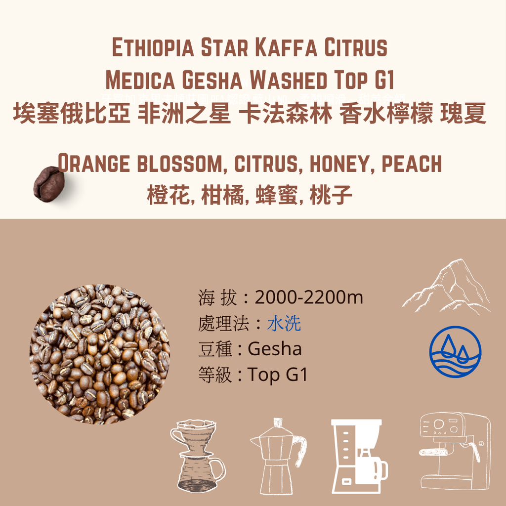 ethiopia star kaffa  washed