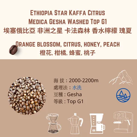 ethiopia star kaffa  washed