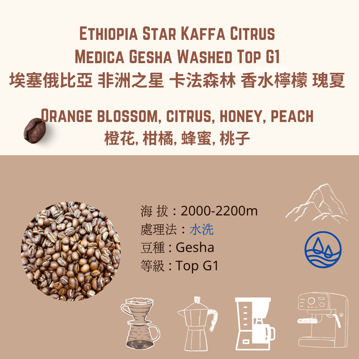 ethiopia star kaffa  washed
