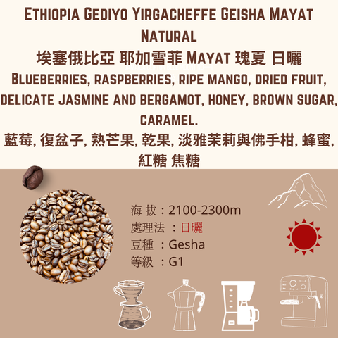 EY 日曬 加瑪亞特 