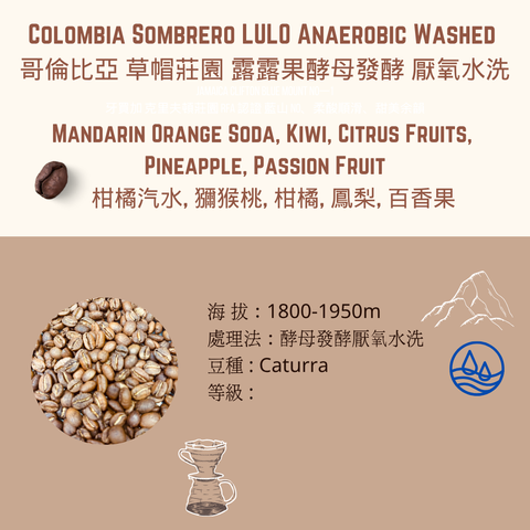 CS Lulo 露露果 (2)
