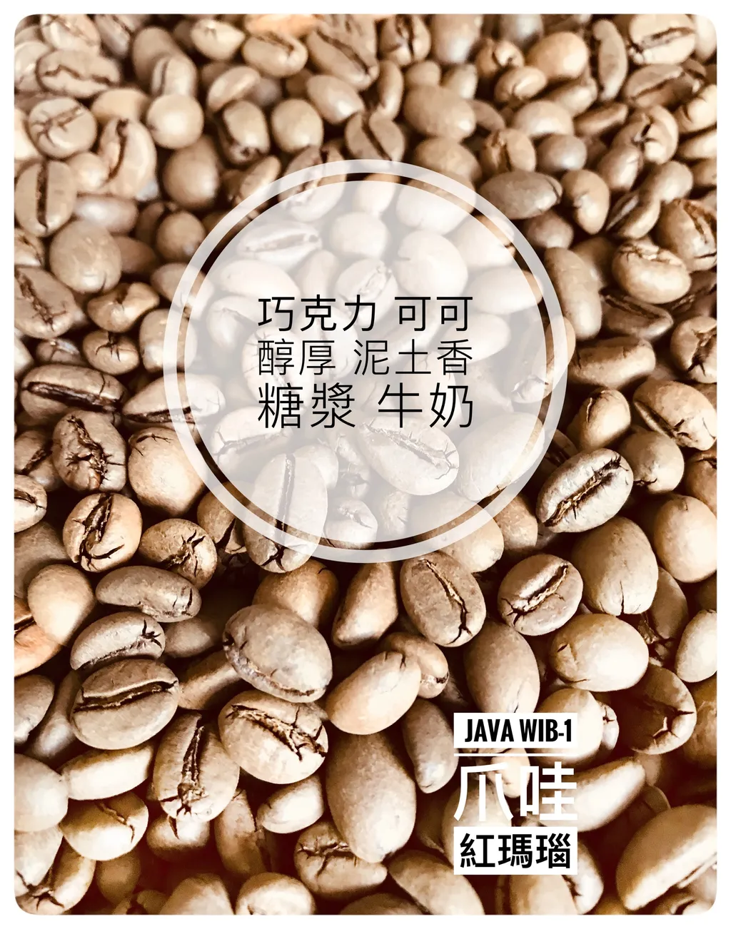 JAva-2.jpg