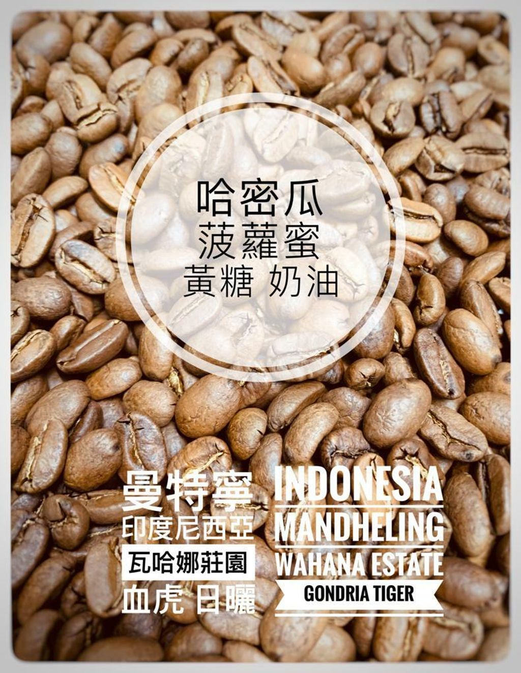 曼特寧 血虎.jpeg