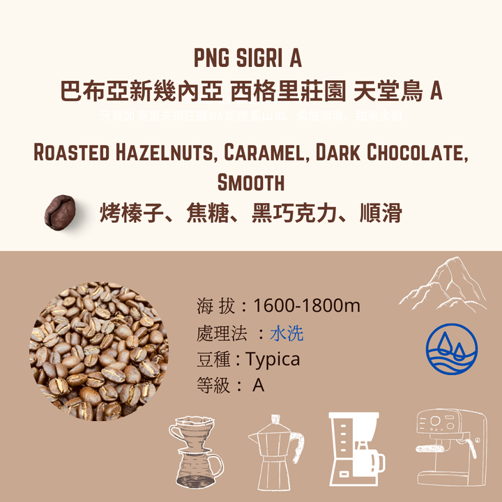PNG 天堂鳥