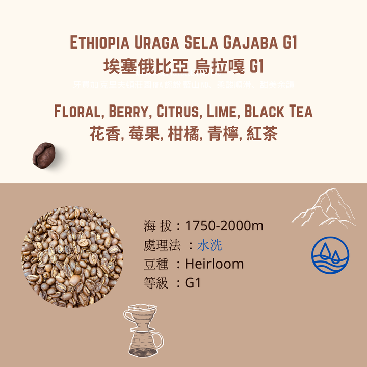 埃塞俄比亞 烏拉嘎