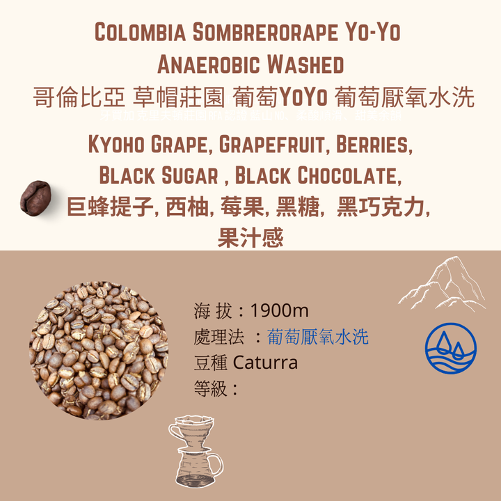 CS 酵素水洗 (1)