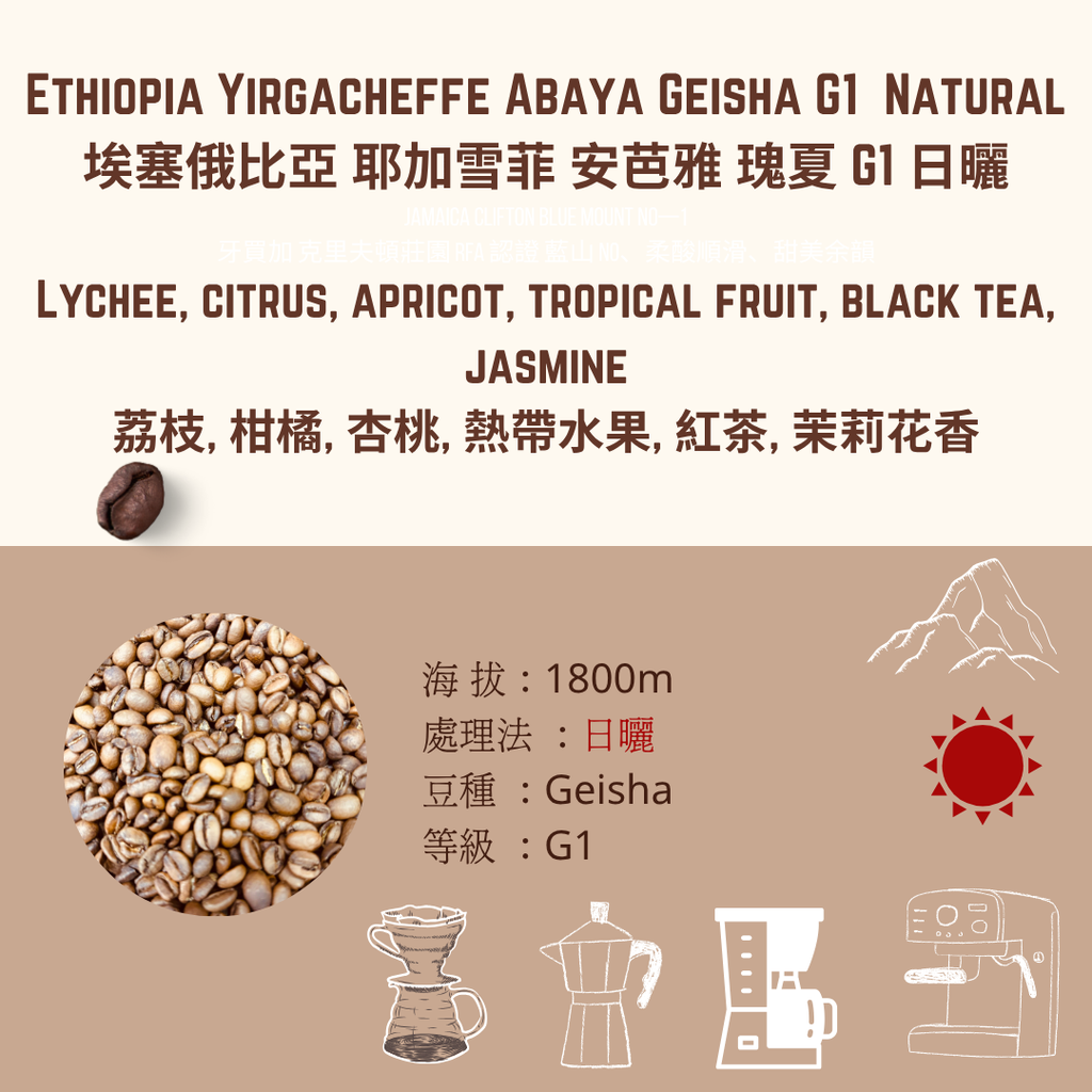 EY 日曬 ABAVA (1)