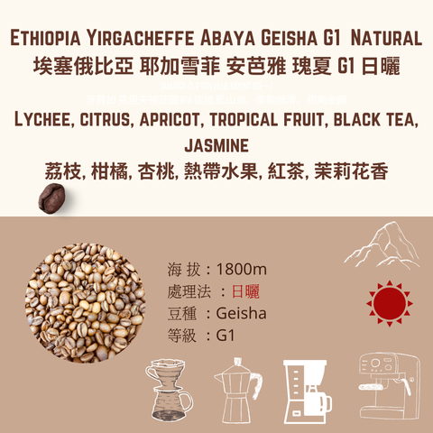 EY 日曬 ABAVA (1)