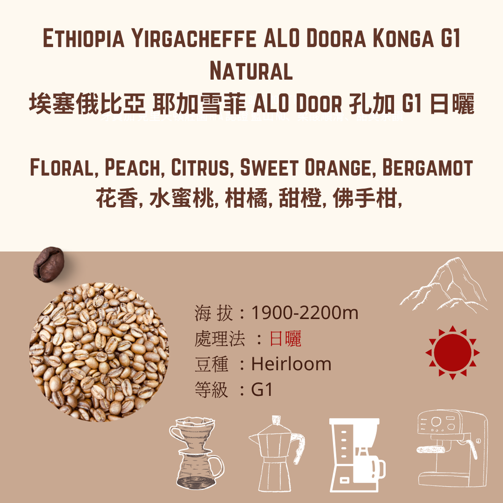 EY 日曬 konga