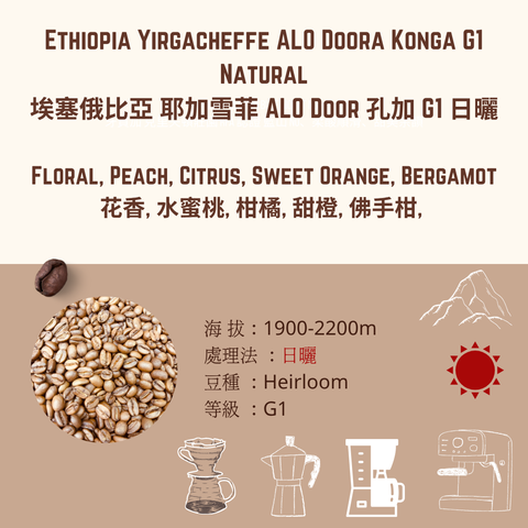 EY 日曬 konga