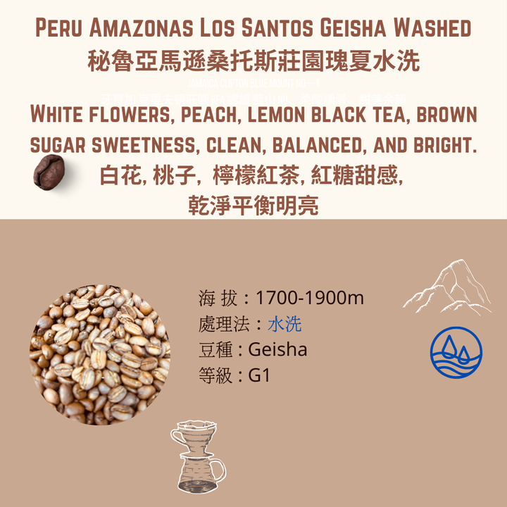 Peru Geigsha washed