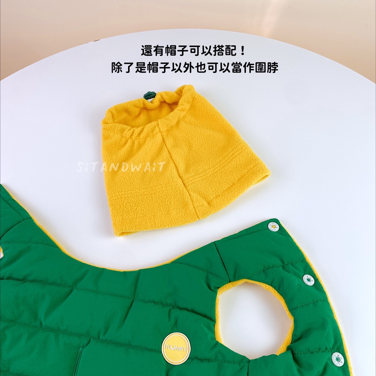S__44113935