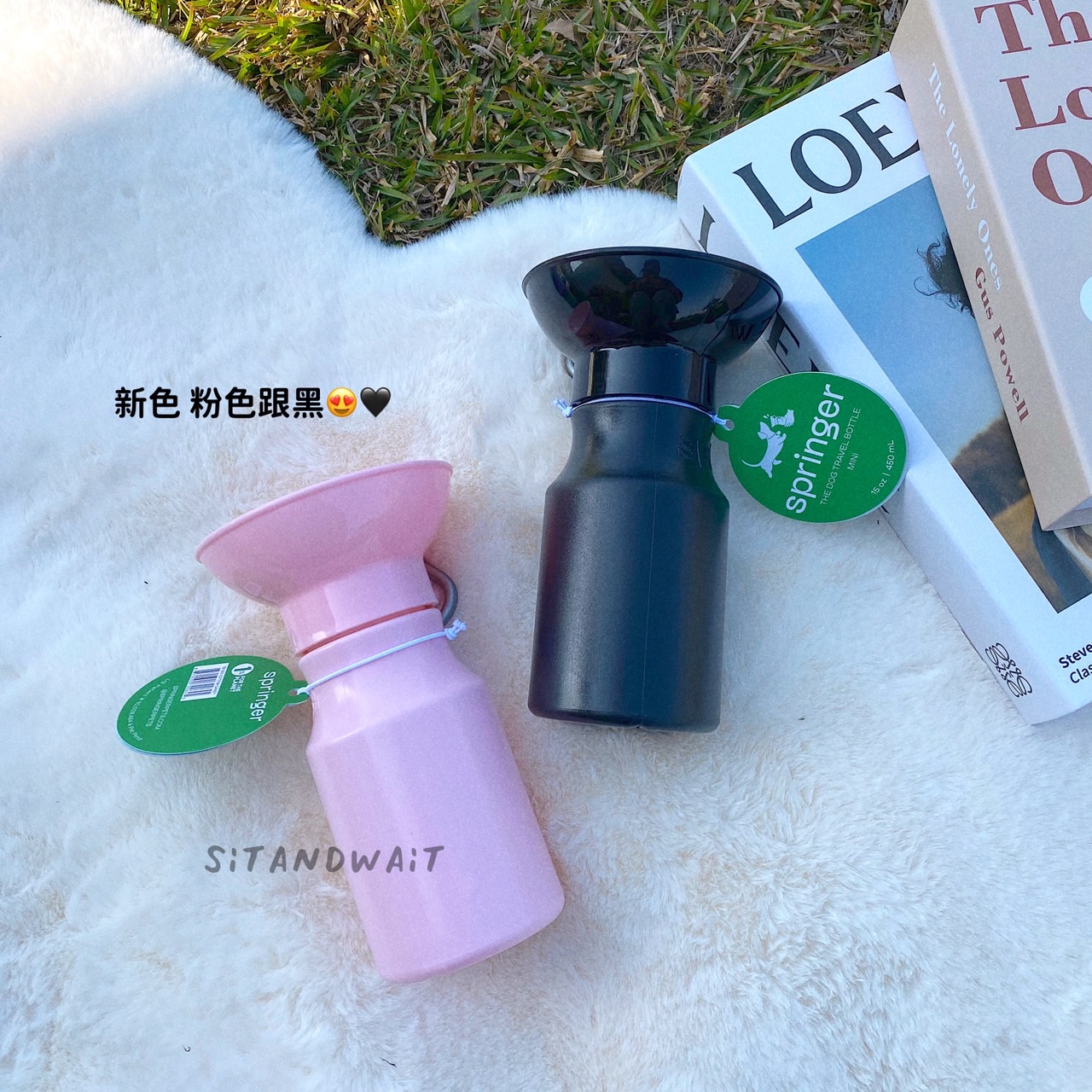 S__45482019