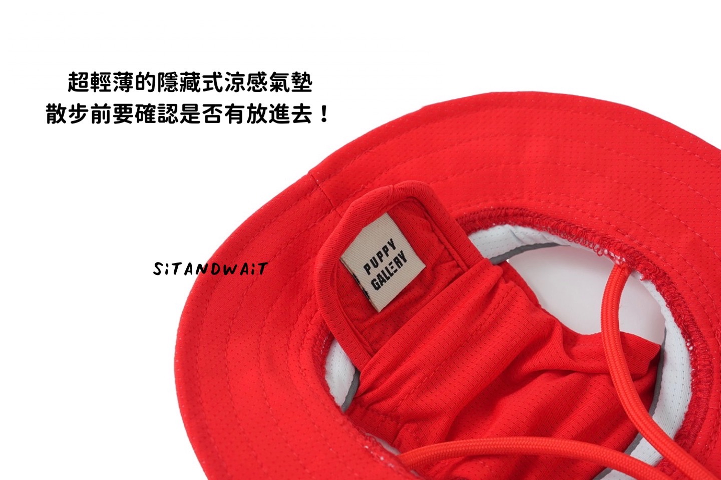 S__46817343