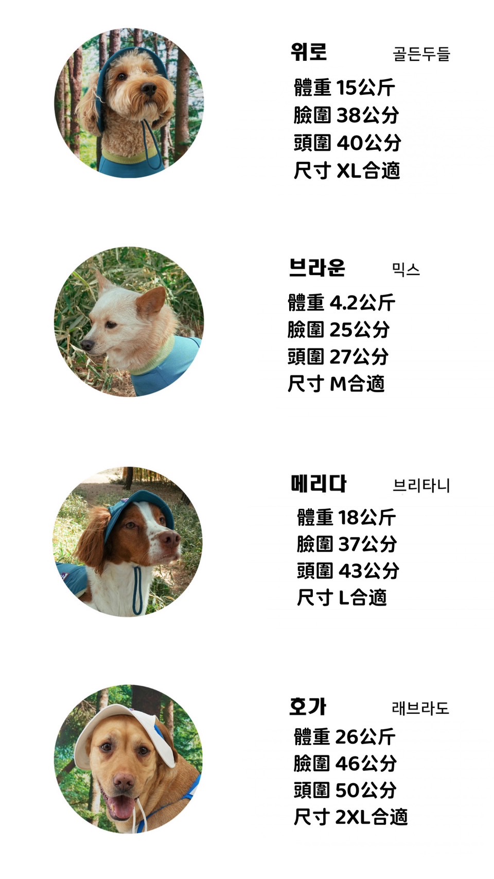 S__46817340