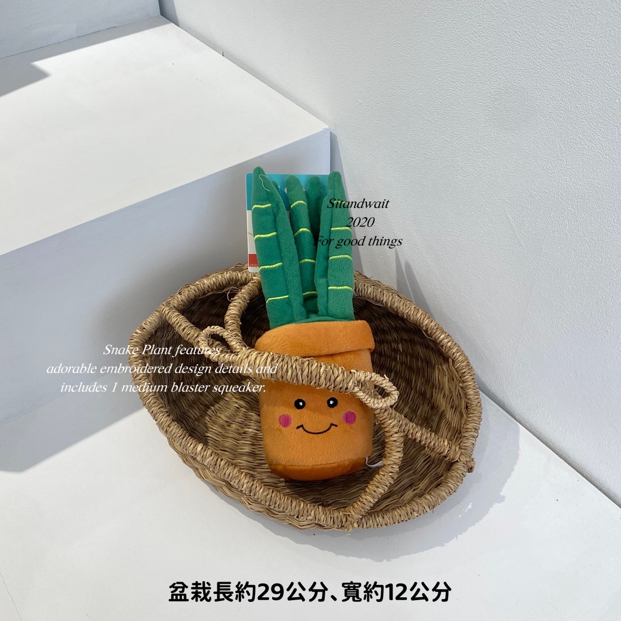 S__49815587