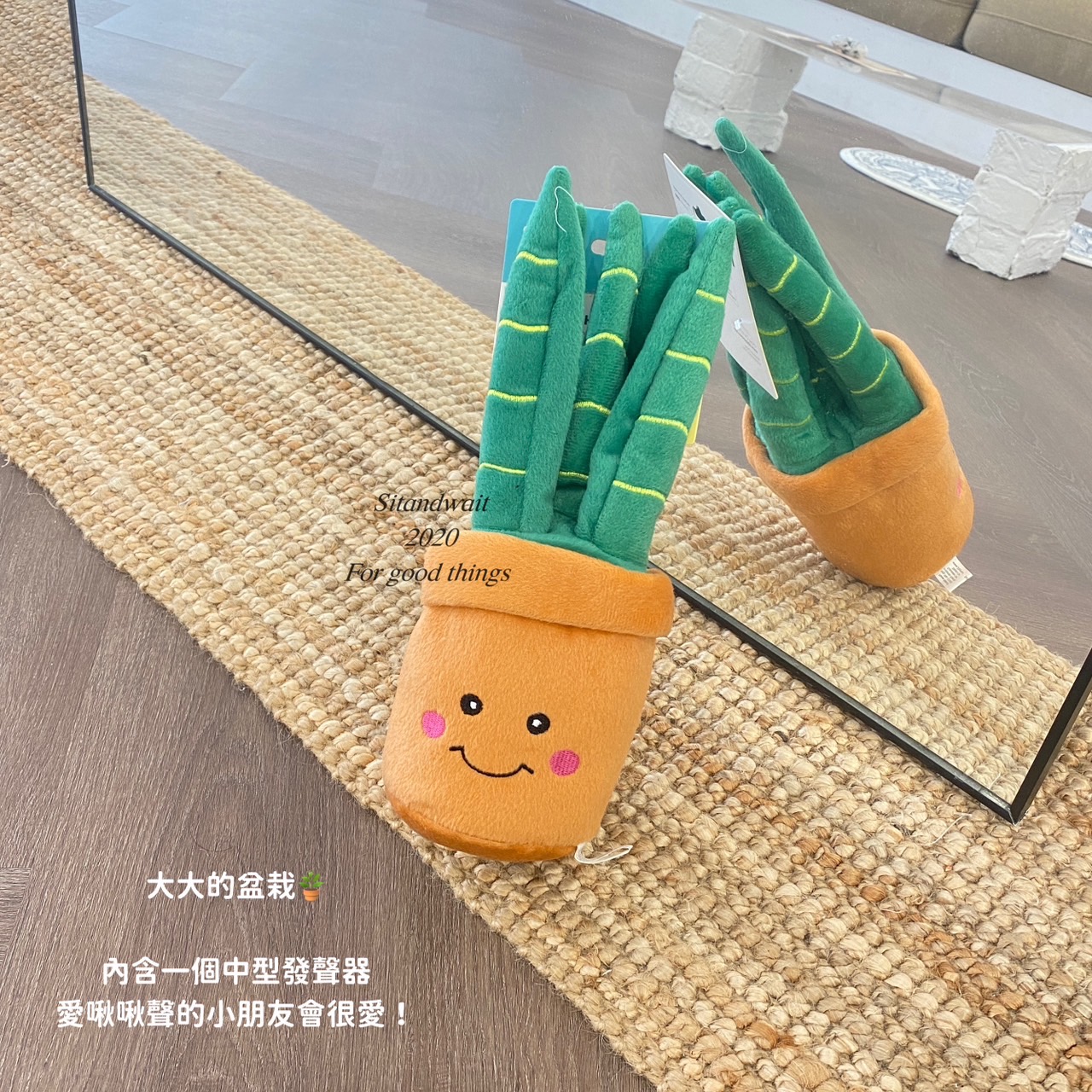S__49815588