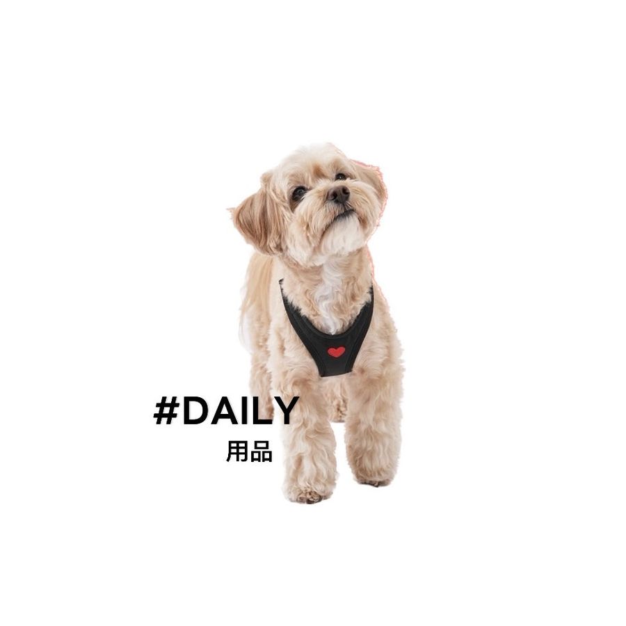 坐下等等 |  - 