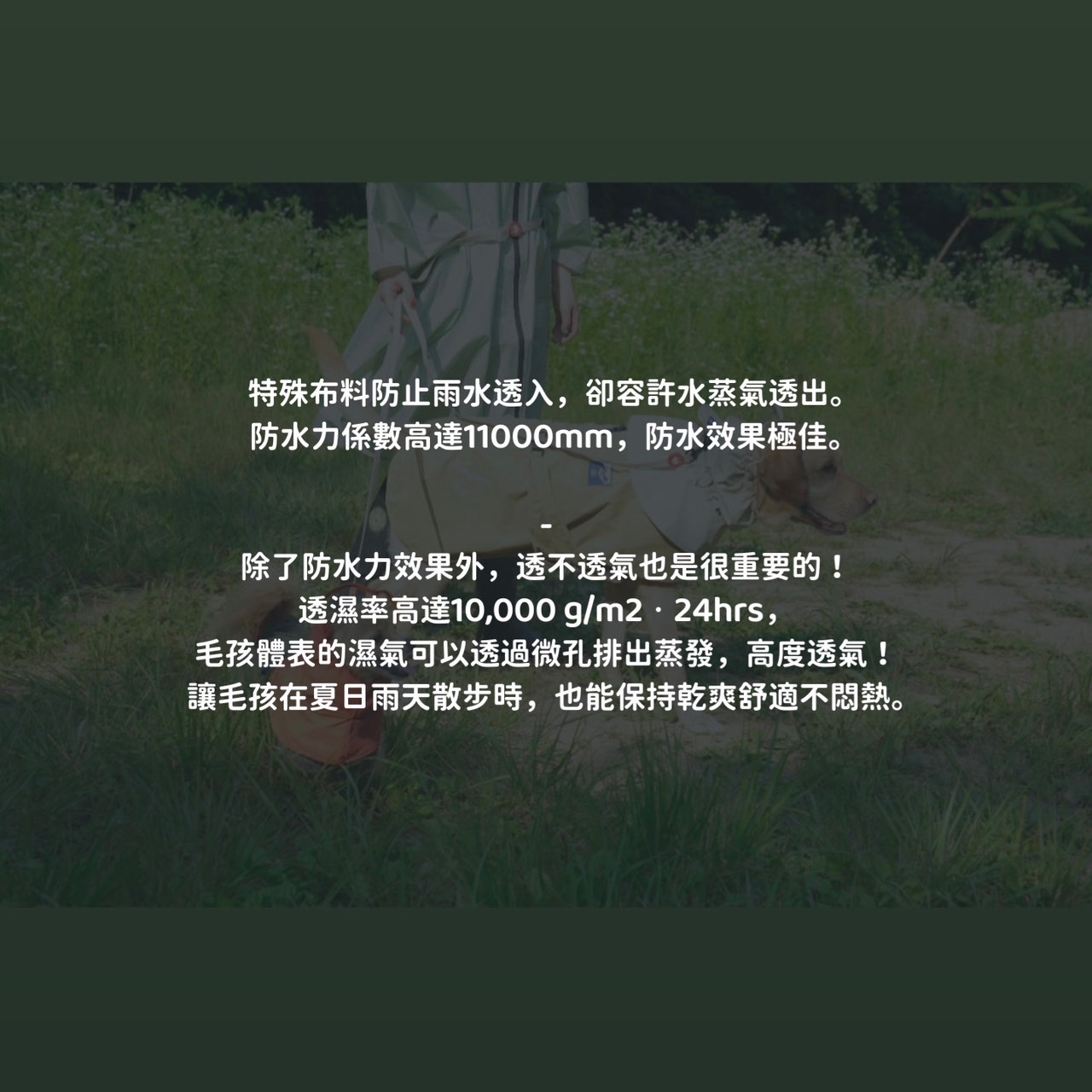 S__53444644