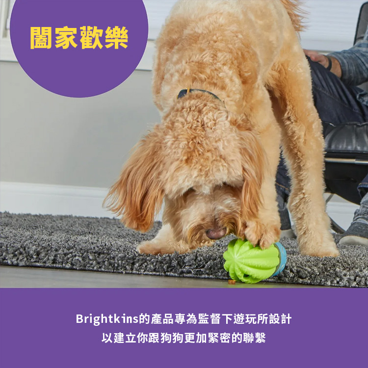 仙人掌5