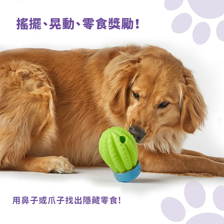 仙人掌7
