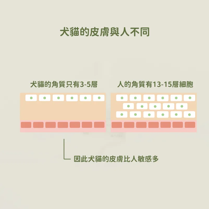 72121288.jpeg