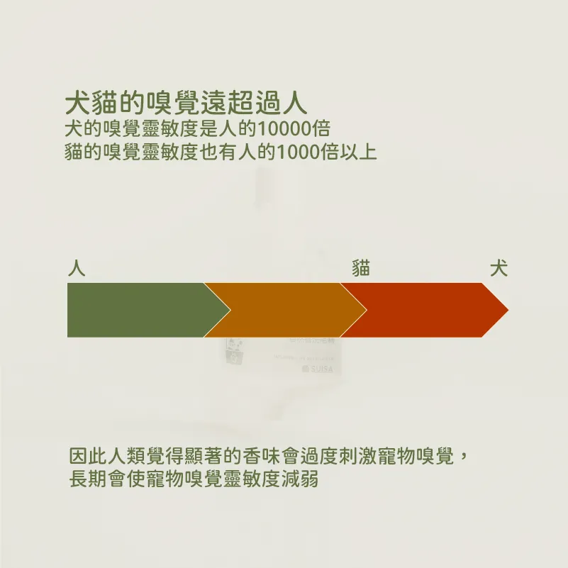 72121289.jpeg