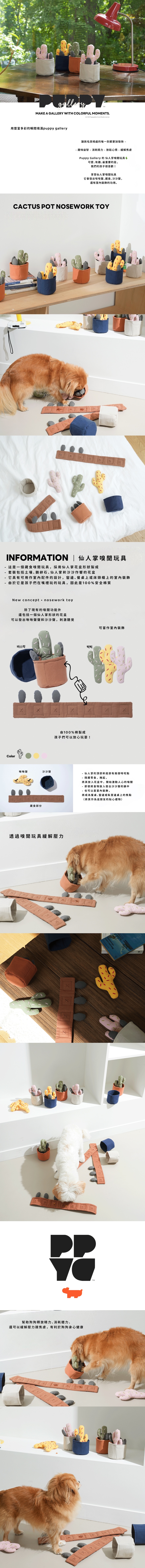 仙人掌玩具介紹圖１