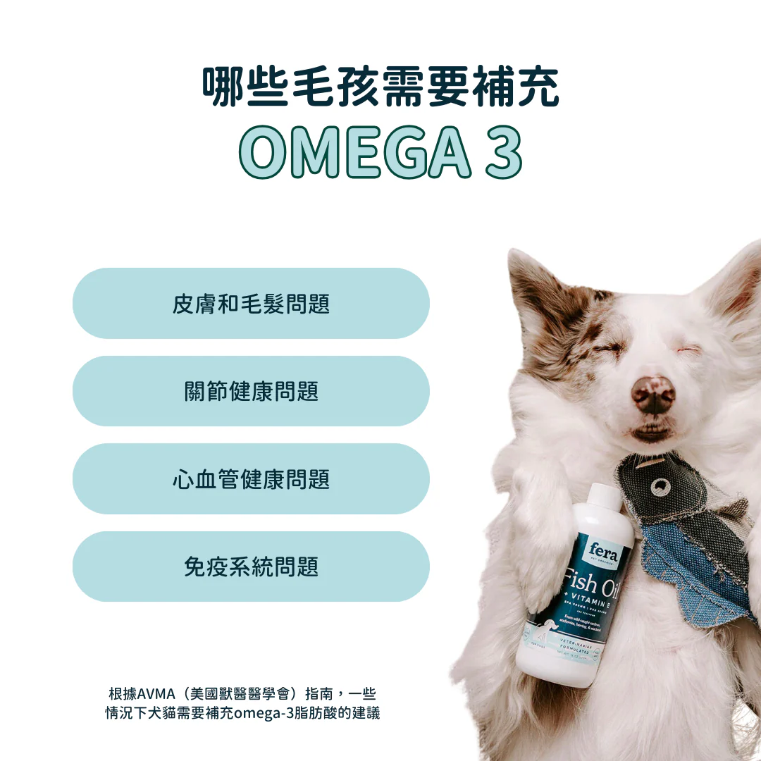 4_6319a11a-9b14-42cc-9960-b9aca8e5af96