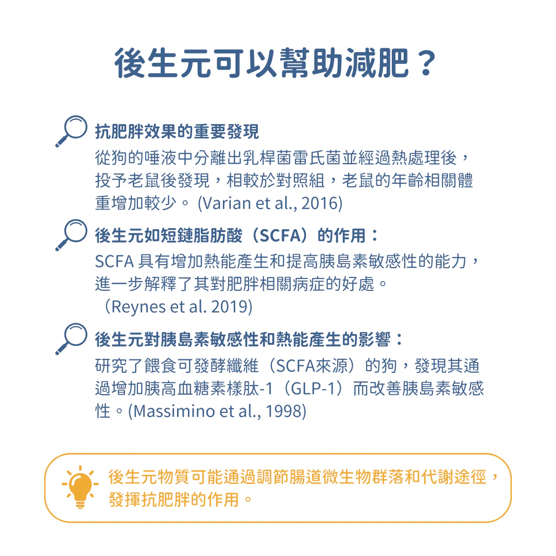 11_de797740-effd-413c-9379-ea0c58573834
