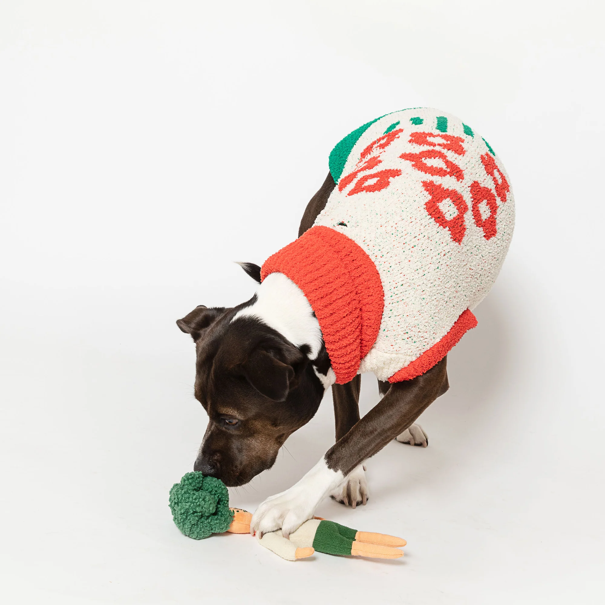 FlowerHooman_Nosework_Toy_03
