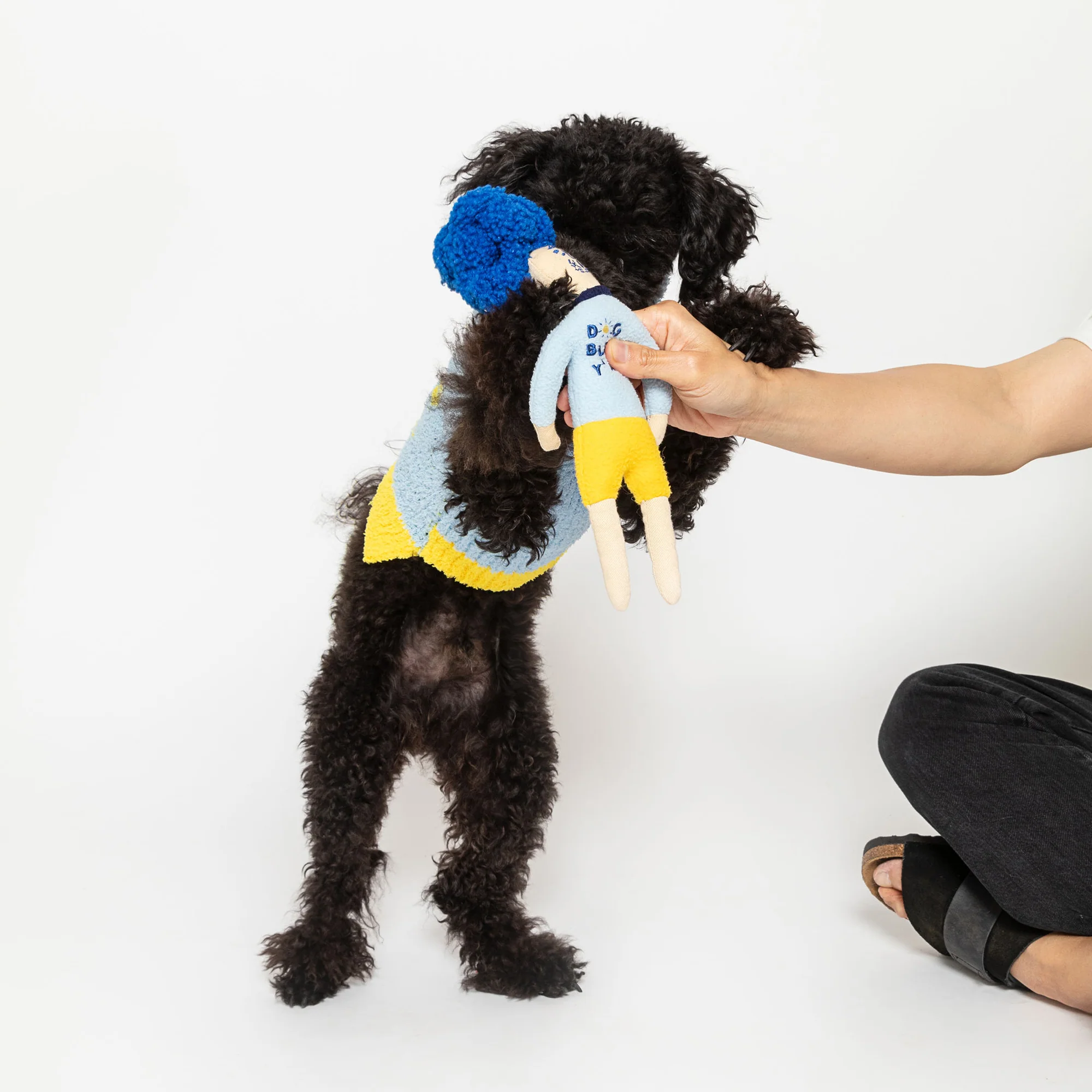 DogblessHooman_Nosework_Toy_03