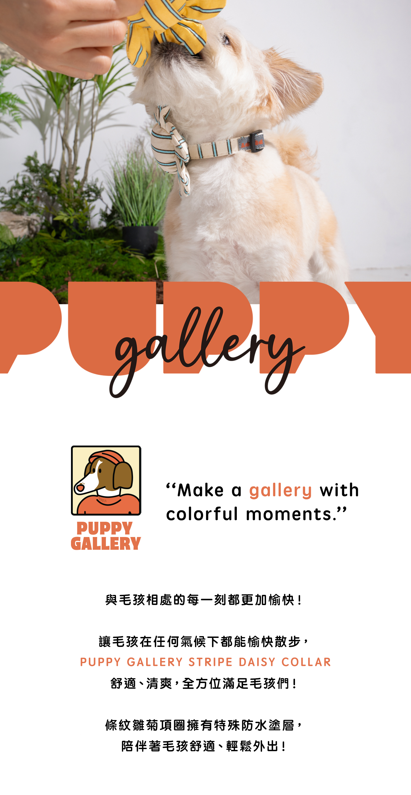 項圈_白_1