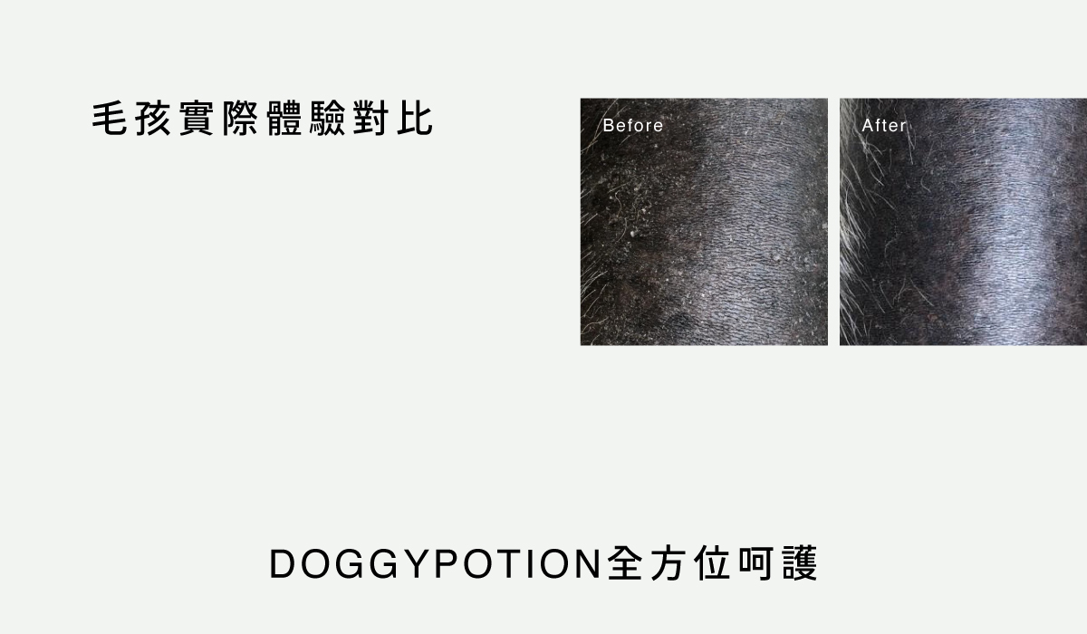 DOGGYPOTION_商品頁_使用前後