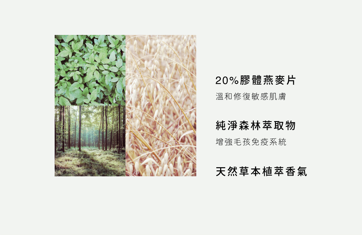 DOGGYPOTION_商品頁_療癒芳香_商品介紹2_北歐