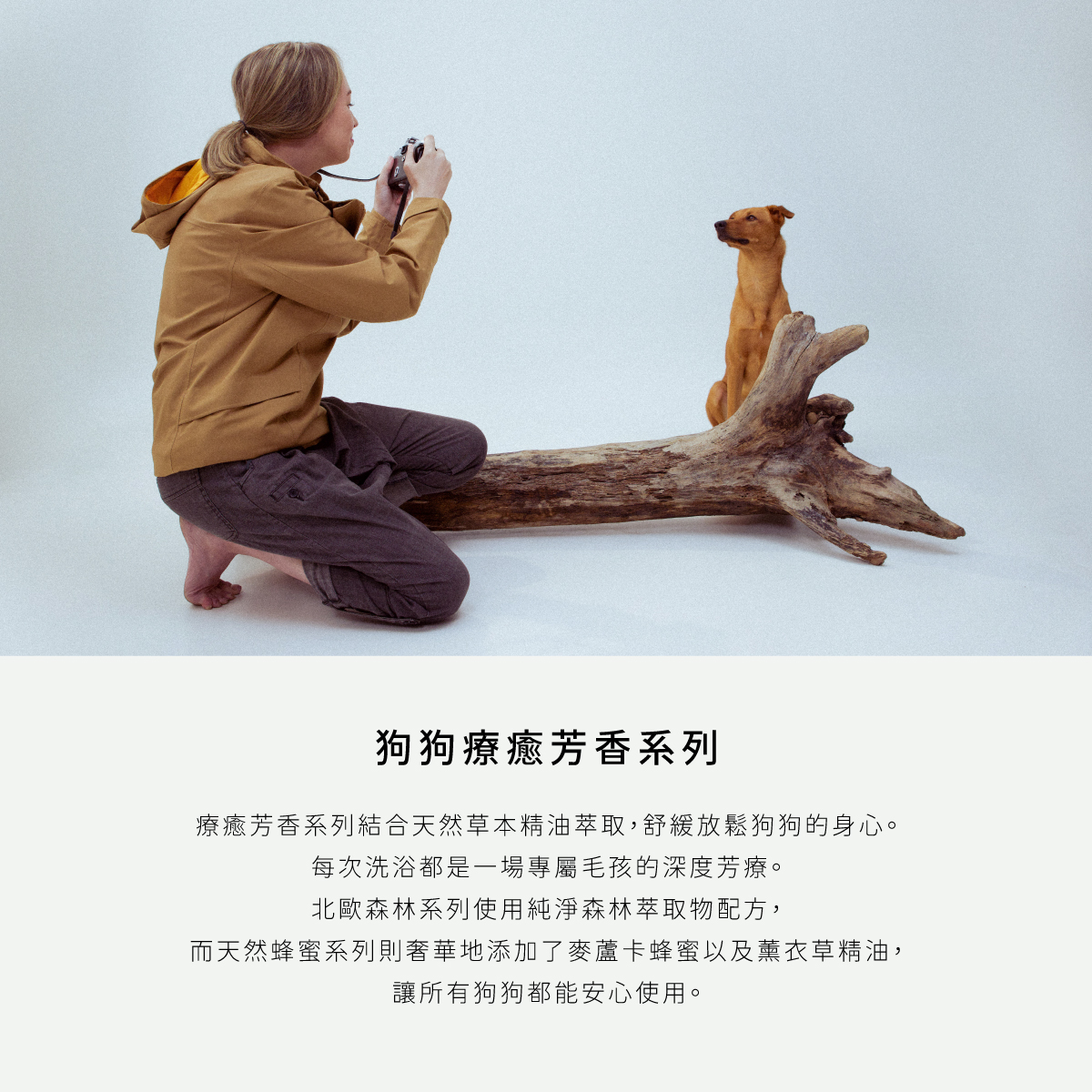 DOGGYPOTION_商品頁_療癒芳香_商品介紹1