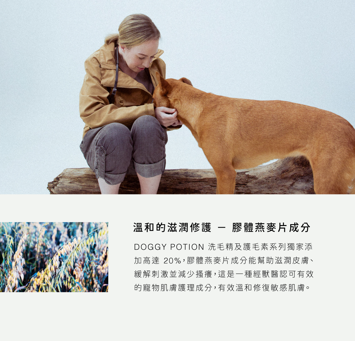 DOGGYPOTION_商品頁_療癒芳香_產品使用建議1