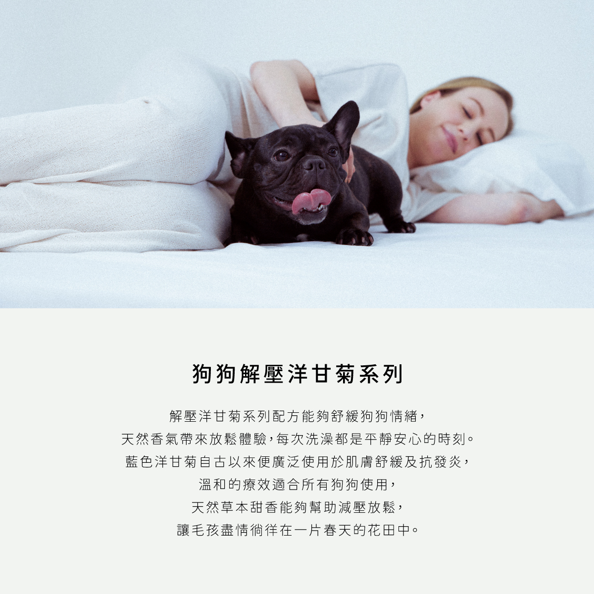 DOGGYPOTION_商品頁_Relax_商品介紹1